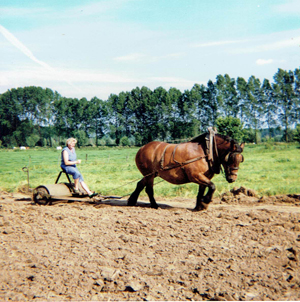 Clothilde aan het werk met haar paard op het veld